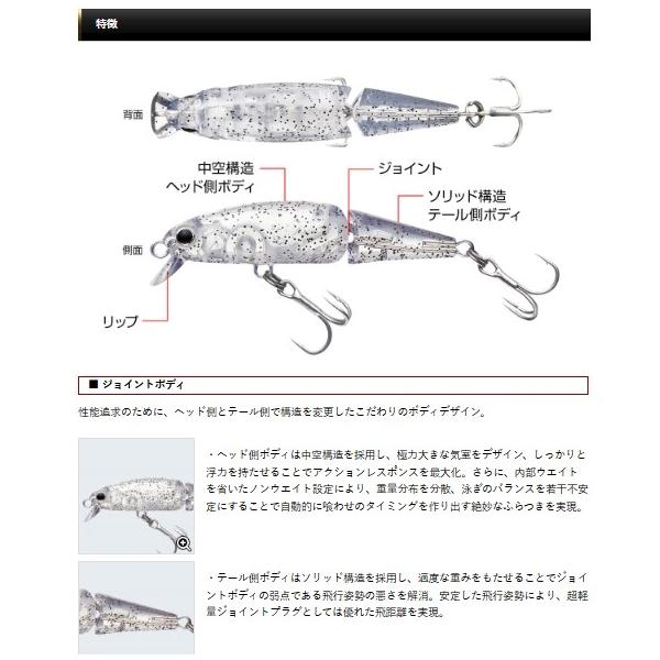 ウィグラ40 エバーグリーン 秋の大感謝祭