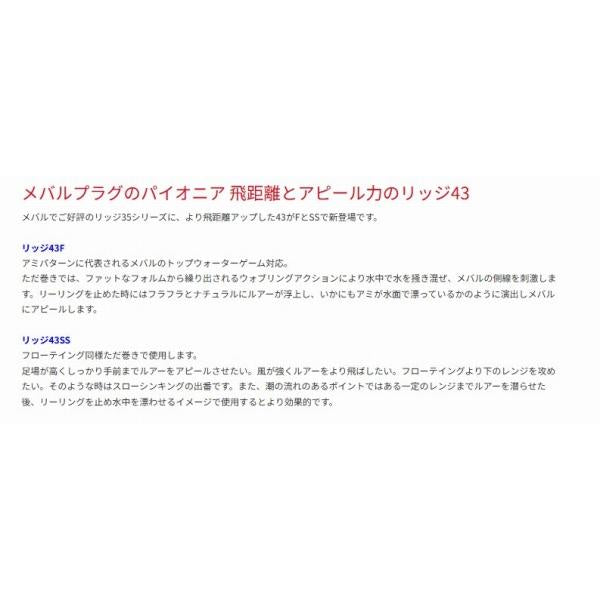 リッジ43F ジップベイツ 秋の大感謝祭