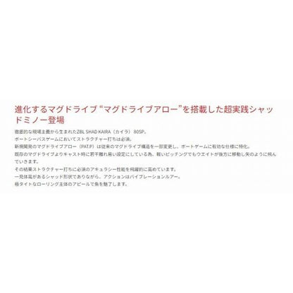 ZB ZBLシャッドカイラ80SP ジップベイツ