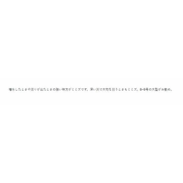 山女魚 青 がまかつ 秋の大感謝祭
