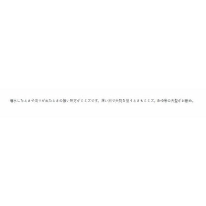 山女魚 青 がまかつ 秋の大感謝祭