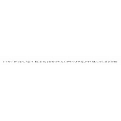 海津 黒 がまかつ 秋の大感謝祭