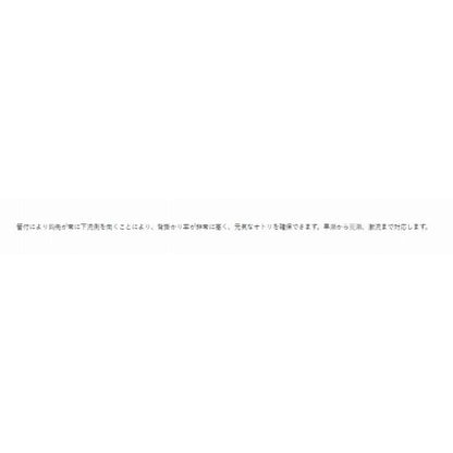 66445 ザ・ボックス 管付チラシ狐型 がまかつ 継続SALE