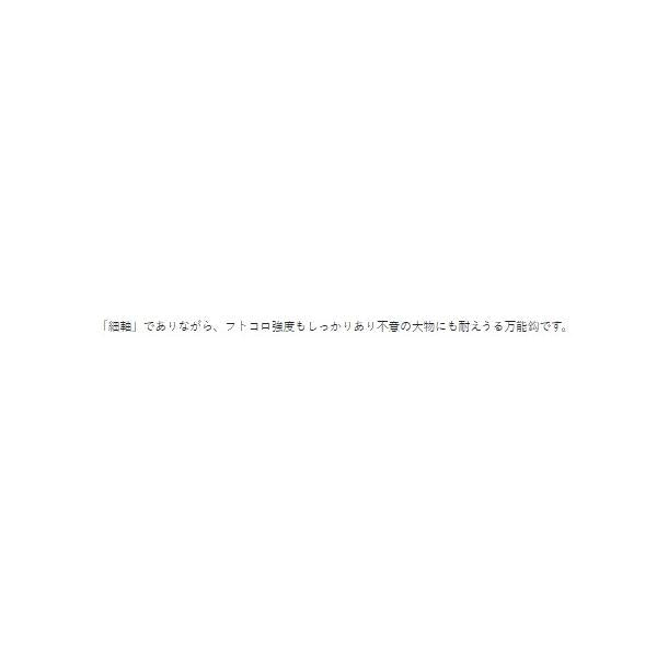 カン付波止鈎 NSB がまかつ 釣り人応援セール