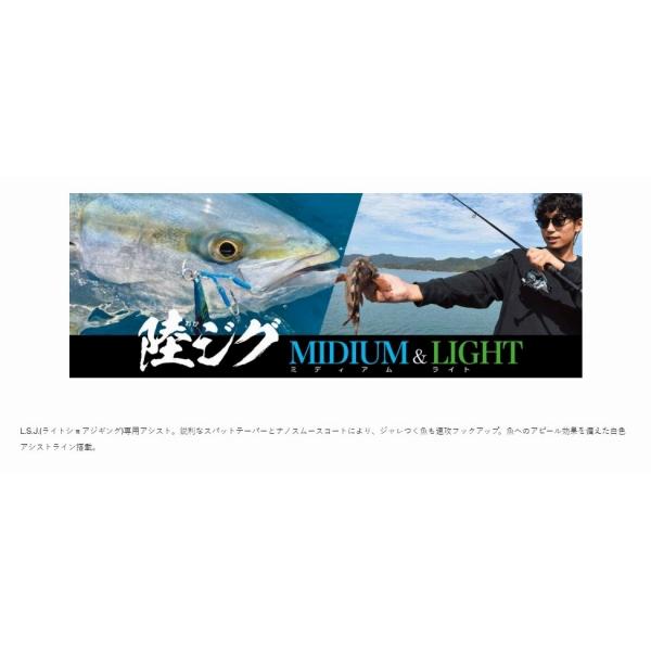 陸ジグダブル がまかつ