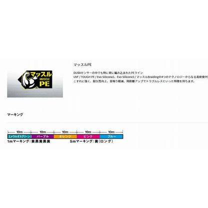 UVFエメラルダスデュラセンサー×8LD＋Sｉ2 200m ダイワ