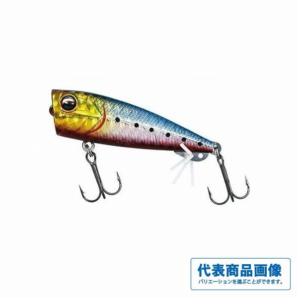 SWチニングB55F ダイワ 釣り人応援セール