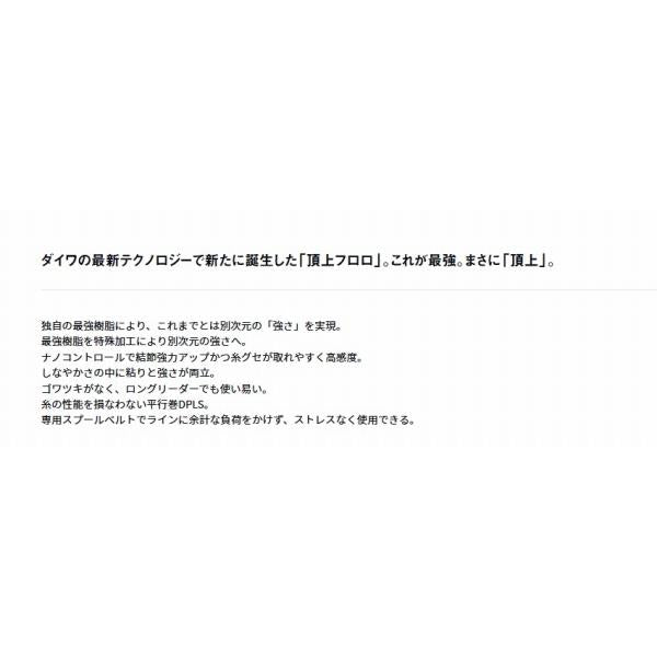 ソルティガ フロロリーダーX’LINK30ｍ ダイワ 秋の大感謝祭