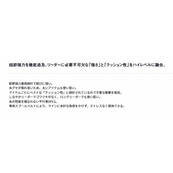 ソルティガ ナイロンリーダー 30m ダイワ