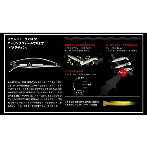バグラチオン80 アピア 秋の大感謝祭