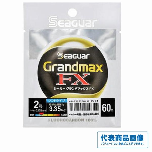 グランドマックス FX 60m クレハ（シーガー）継続SALEA