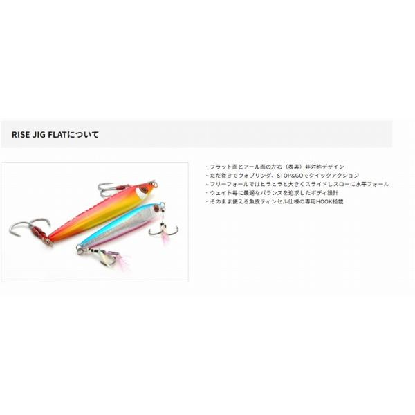 ライズジグフラット 80g ライズジャパン限定セール