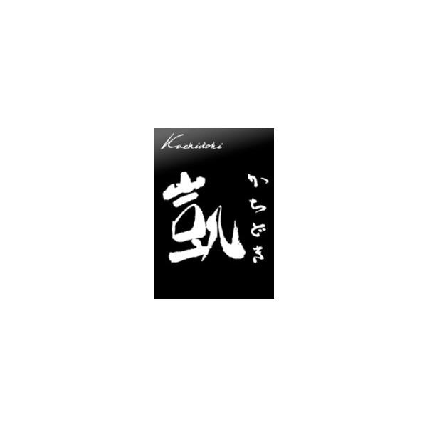 フラットシンカー オオモリ