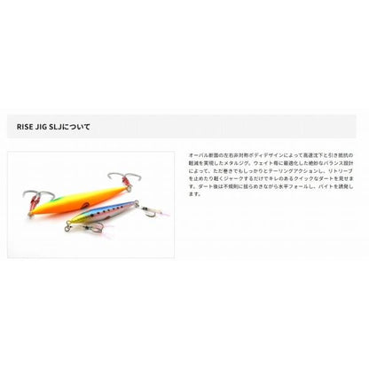 ライズジグSLJ 30g ライズジャパン限定セール