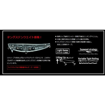 ハイドロアッパー55S アピア