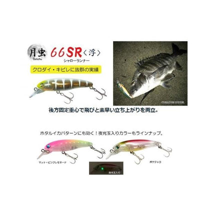 月虫66 シャローランナー ハルシオンシステム 秋の大感謝祭