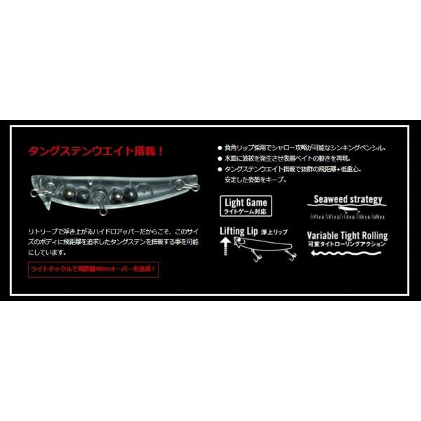 ハイドロアッパー55S アピア 釣り人応援セール