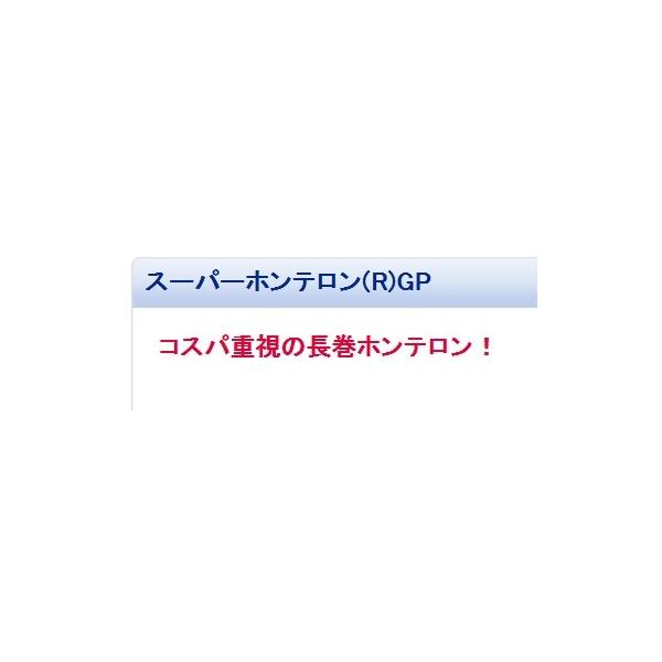 NスーパーホンテロンGPミスト ゴーセン