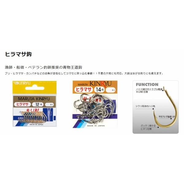 金ヒラマサ 金龍