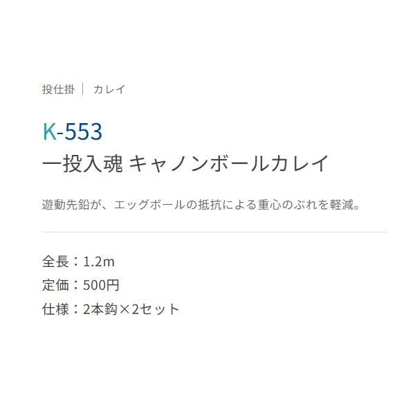 一投入魂 キャノンボール カレイ ささめ