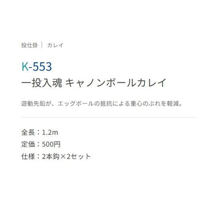 一投入魂 キャノンボール カレイ ささめ
