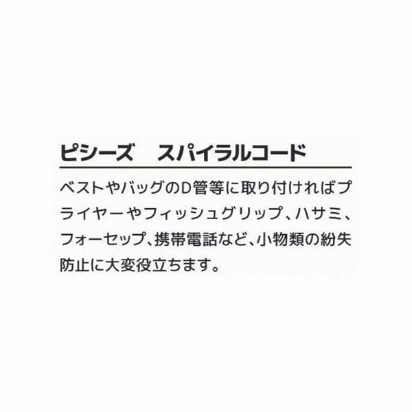 PiスパイラルコードSC452 スミス