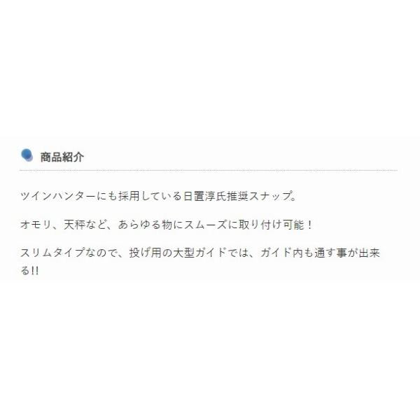 サーフスナップ フジワラ