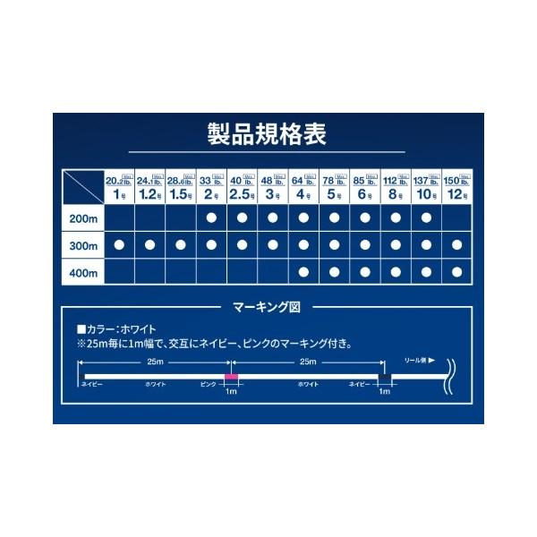 キャスティングMAXパワーX8 300M 2号 VARIVAS