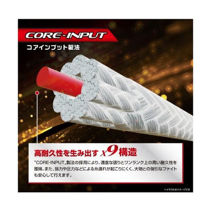 ジギング10×10マッツスパワーPPEX9 300M 1.5号 VARIVAS