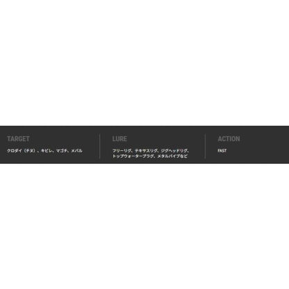 Bーブリーマー SSD C76ML/SL リコー