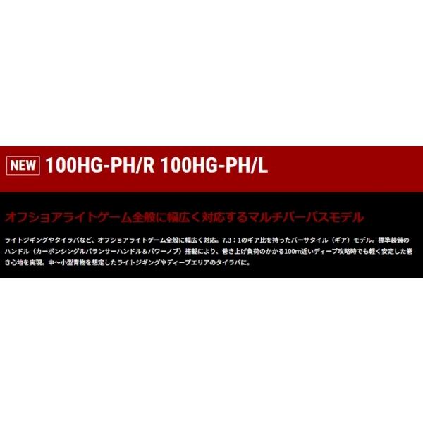 セイレンス 100HG-PH/R リコー