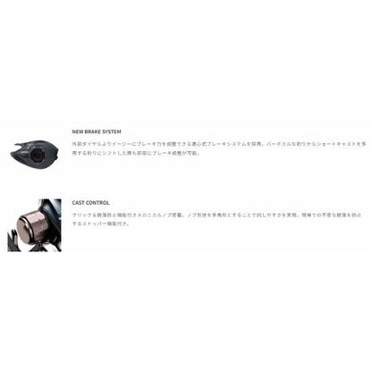 セイレンス 100HG-PH/L リコー