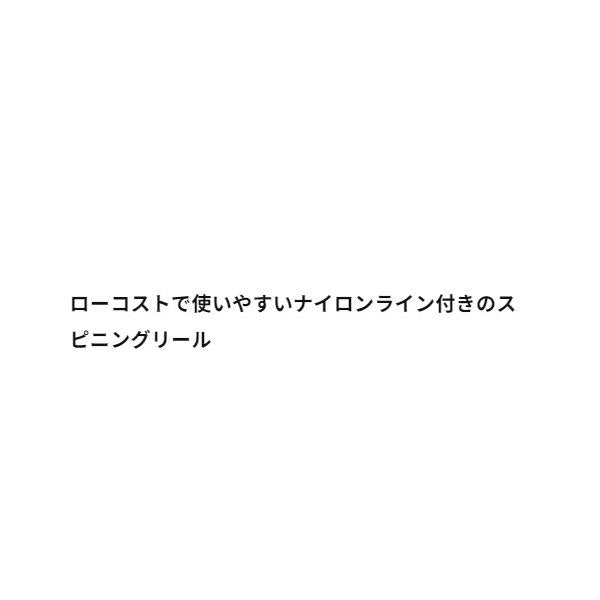 WISH SPIN （ウイッシュ スピン） 4000 エイテック 秋の大感謝祭