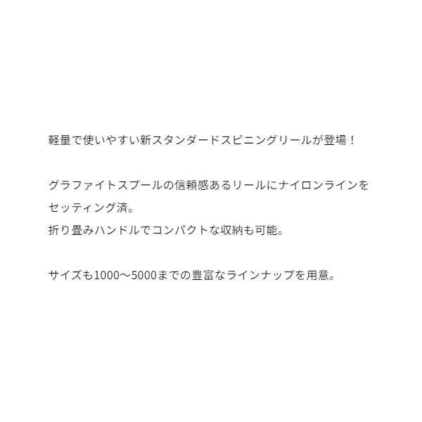 WISH SPIN （ウイッシュ スピン） 4000 エイテック 秋の大感謝祭