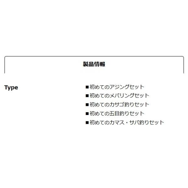 テトラワークス入門セット 初メテノ五目釣リセット DUO