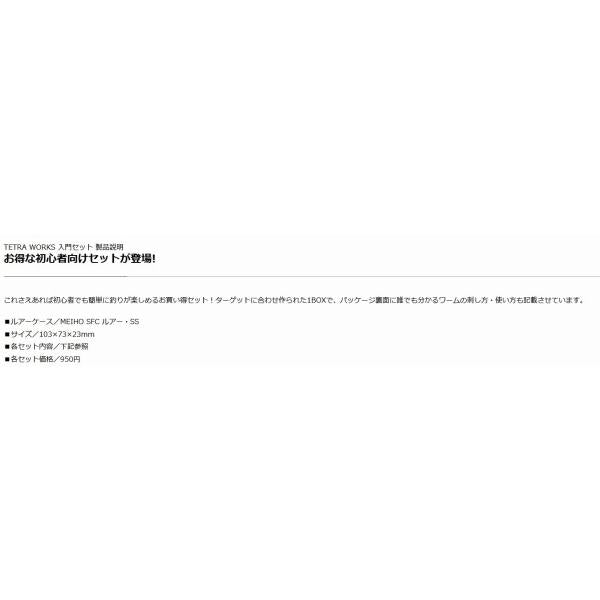 テトラワークス入門セット 初メテノ五目釣リセット DUO