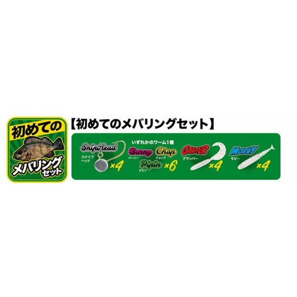 テトラワークス入門セット 初メテノ五目釣リセット DUO