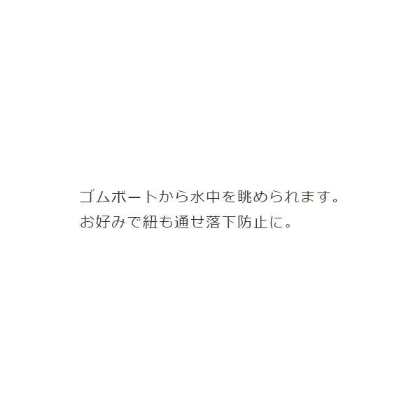 たこめがね