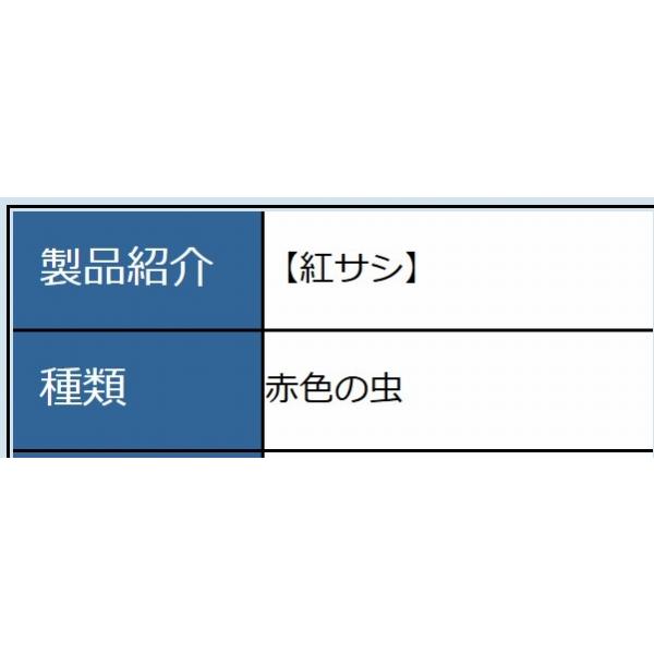 紅サシ あずみの