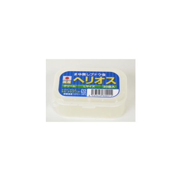 ヘリオス Lサイズ30匹入 あずみの