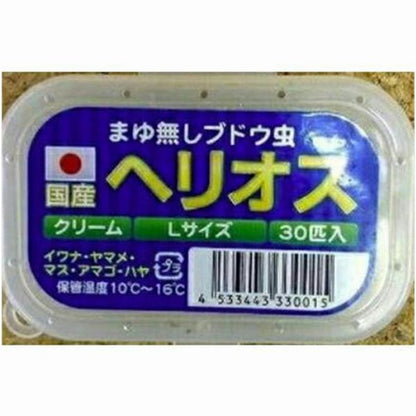 ヘリオス Lサイズ30匹入 あずみの