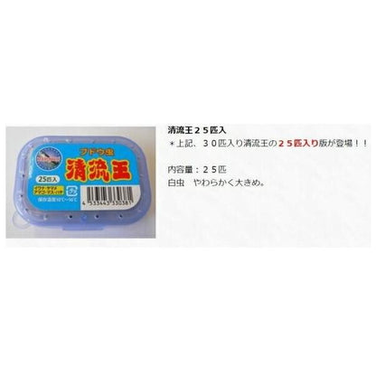 ブドウ虫 清流王25匹入り あずみの