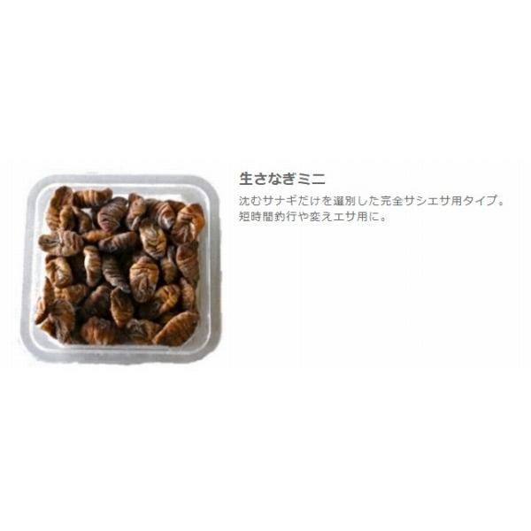生さなぎミニ はなまる