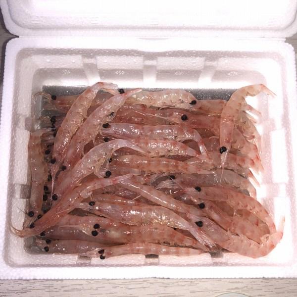 匠 大粒オキアミ はなまる