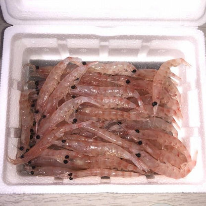 匠 大粒オキアミ はなまる