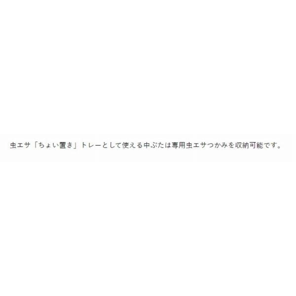虫エサBOX レクタングル マルシン