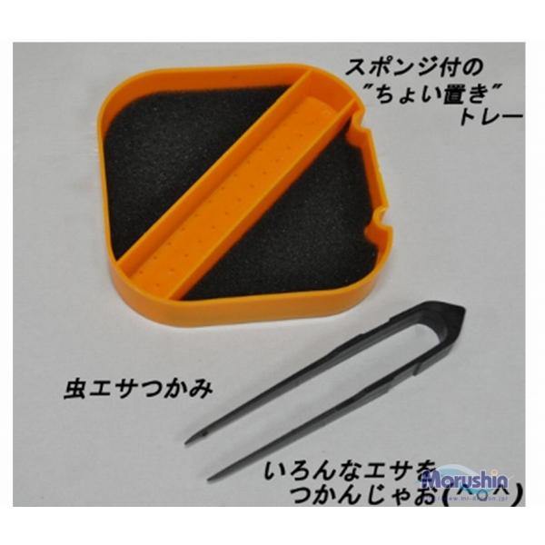 虫エサBOX スクエア マルシン