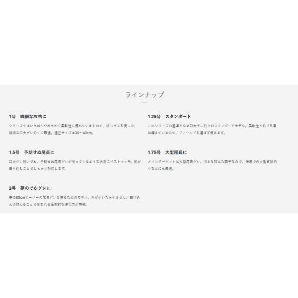がま磯 デニオス 2号 5.0m がまかつ