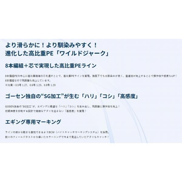 アンサー ワイルドジャークPE X 9S 150M 0.6号 ゴーセン