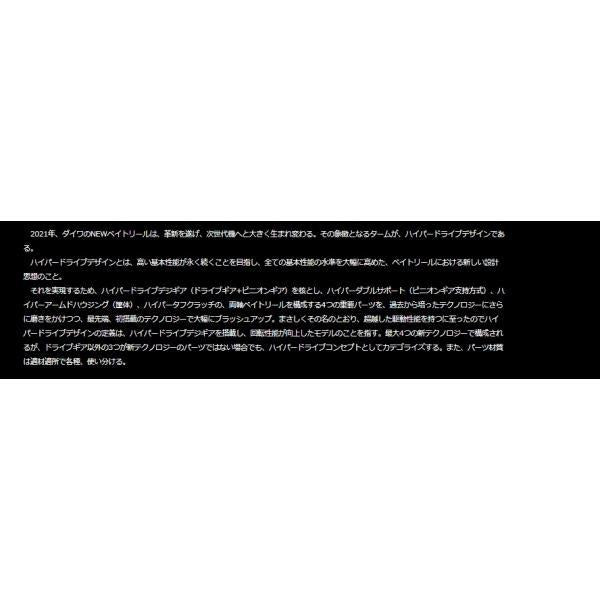 21ソルティガIC 100PLDH ダイワ